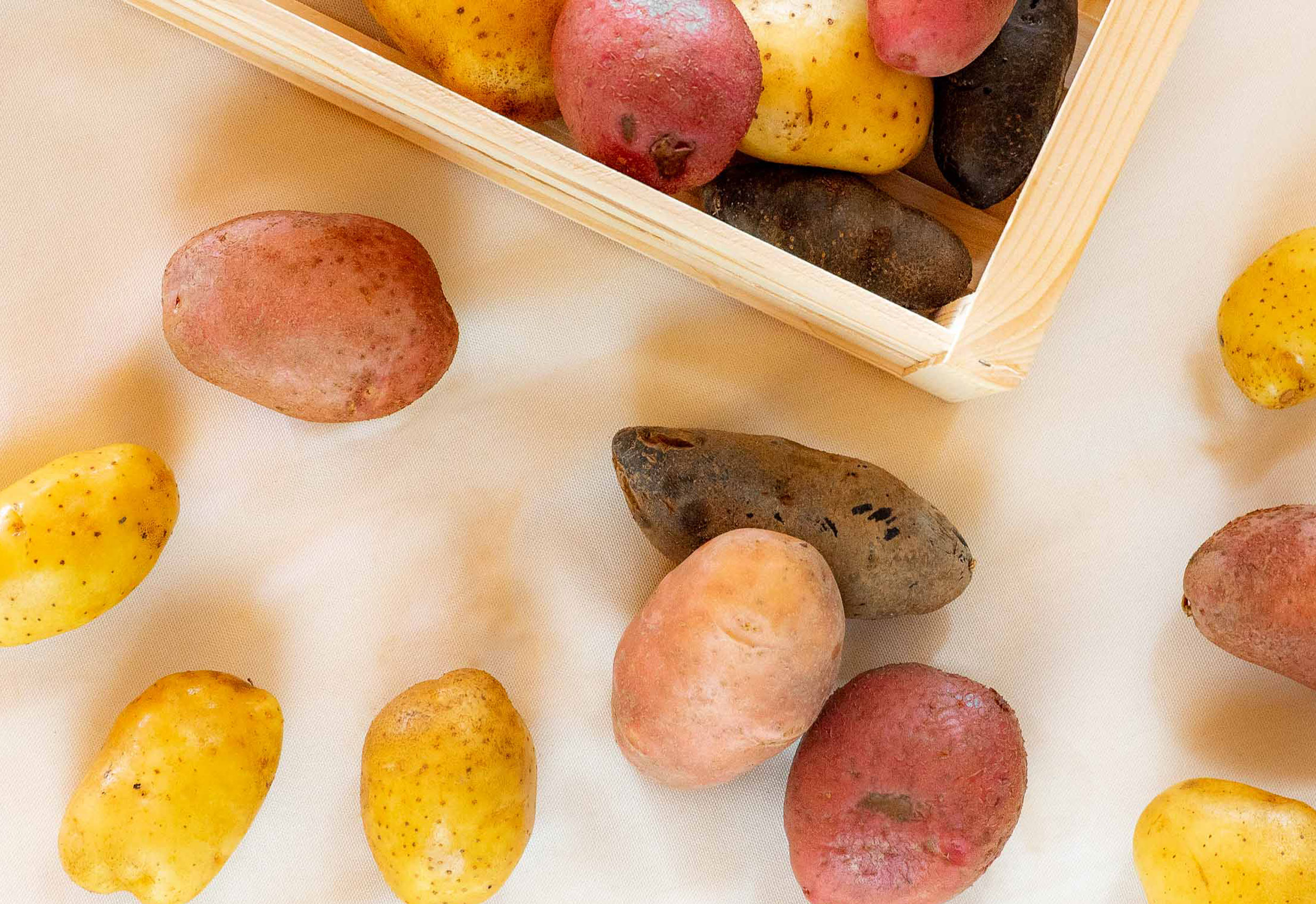 patate-trecasali